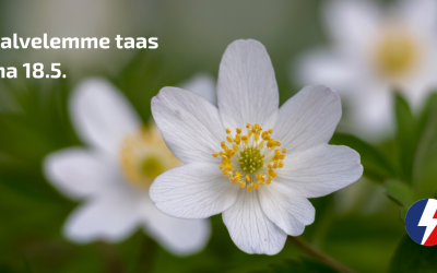 Palvelemme taas ma 18.5.