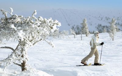 Lumikenkäilyä Saariselällä. Kuva: Holiday Club